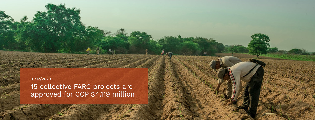 15-collective-FARC-projects-are-approved-for-COP-4119-million.jpg