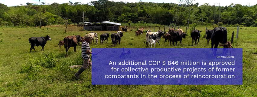 An-additional-COP-$-846-million-is-approved-for-collective-productive-projects-of-former.jpg