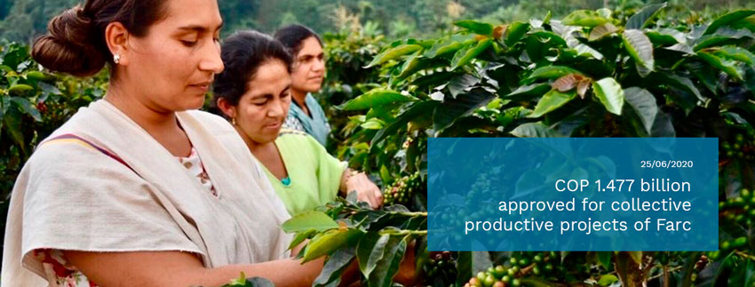 COP-1.477-billion-approved-for-collective-productive-projects-of-Farc.jpg