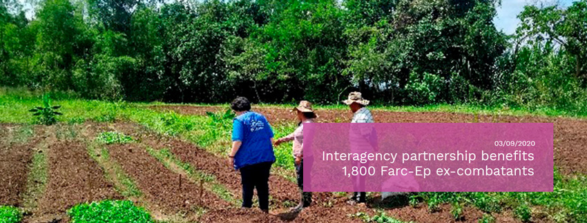 Interagency-partnership-benefits-1800-Farc-Ep-ex-combatants.jpg