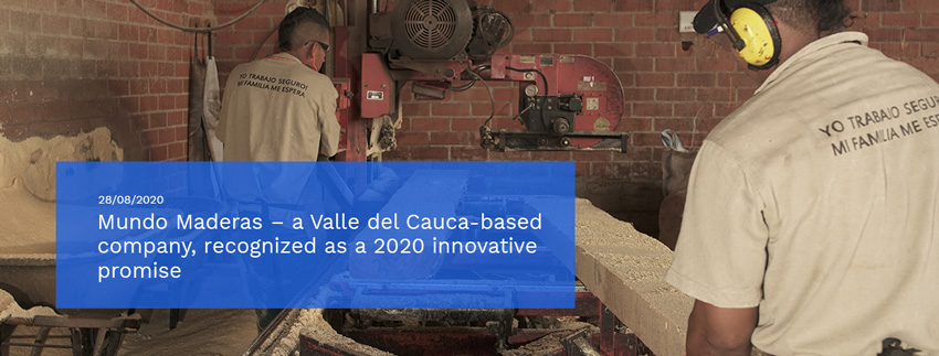 Mundo-Maderas-–-a-Valle-del-Cauca-based-company.jpg