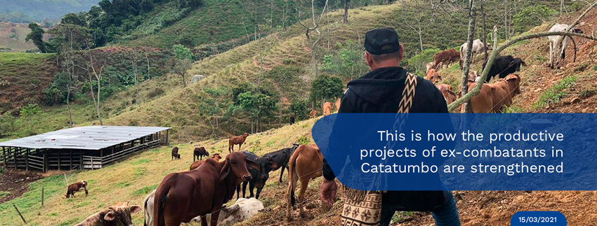 This-is-how-the-productive-projects-of-ex-combatants-in-Catatumbo-are-strengthened.jpg