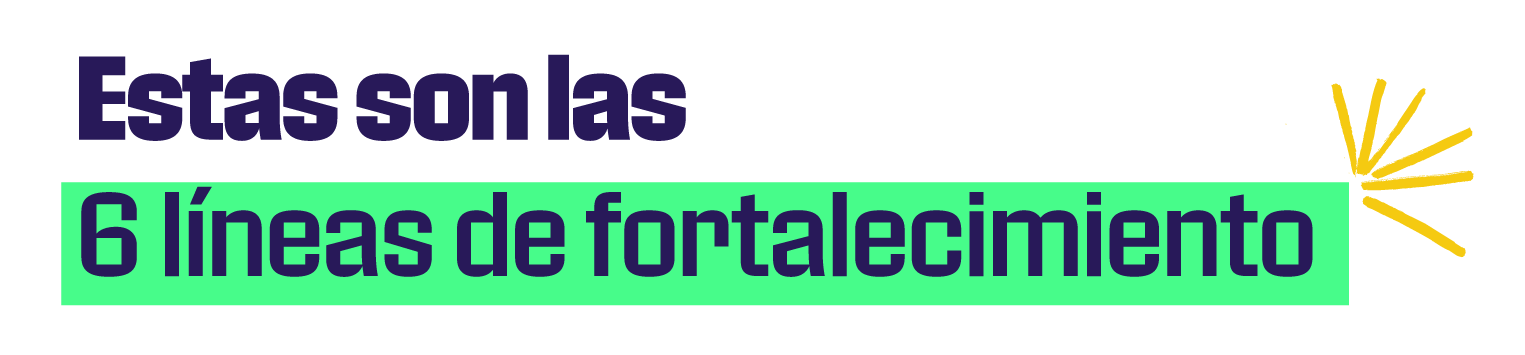 imagen lineamientos