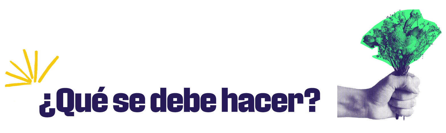 imagen lineamientos