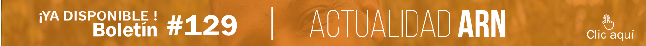 Bolet�n Actualidad ARN