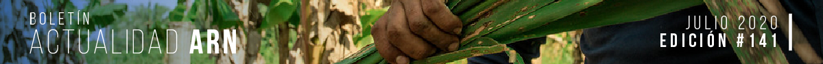 Boletin Actualidad ARN 141