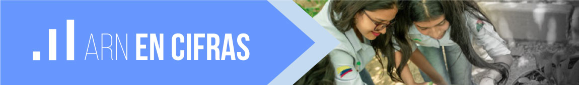ARN en Cifras