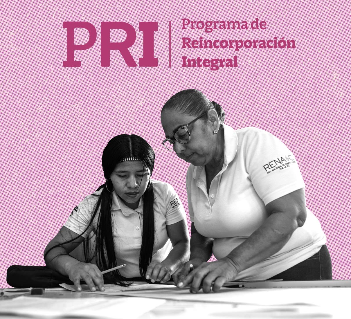 Banner PRI
