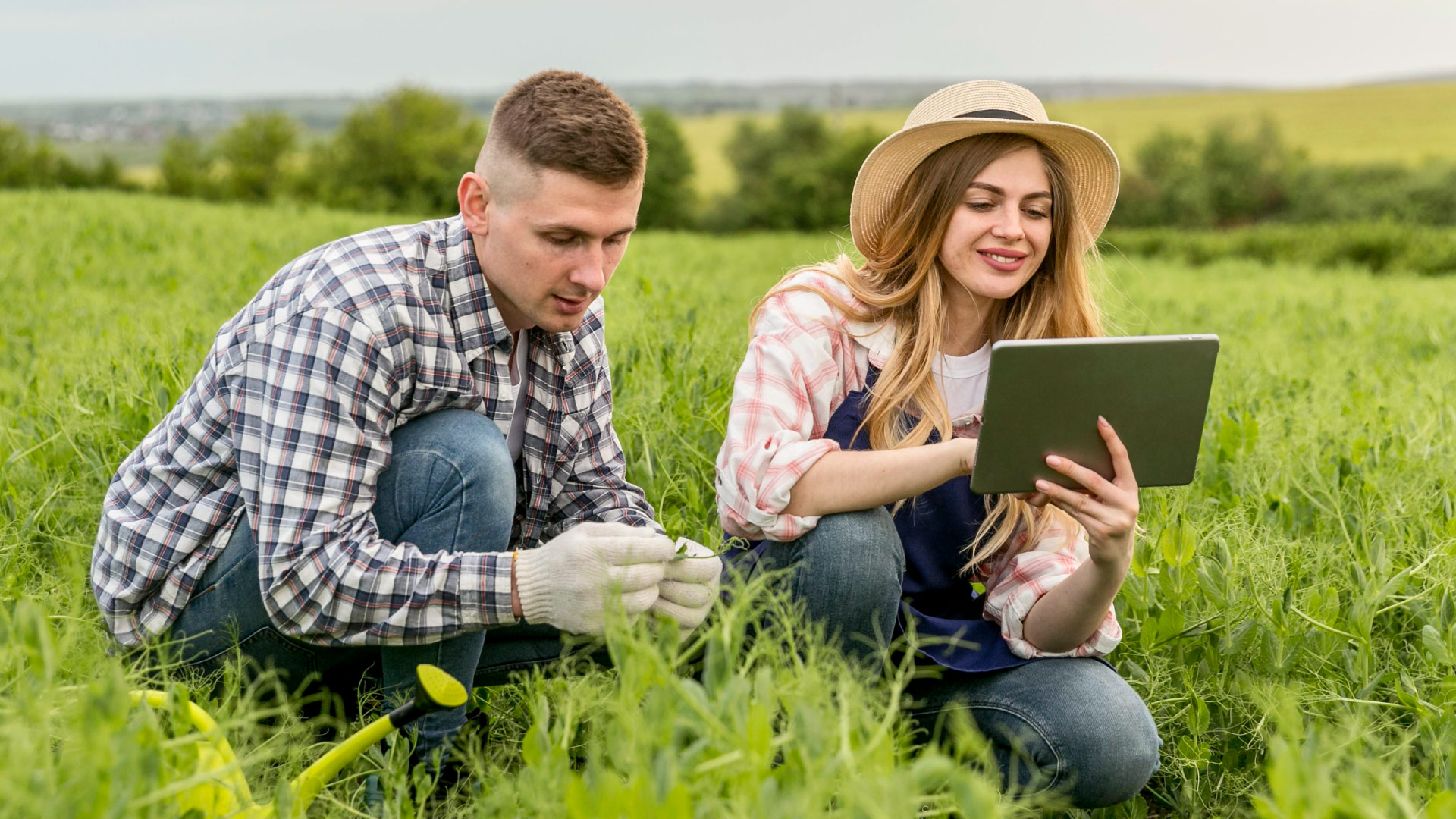 Pareja trabajando en una granja con una tableta