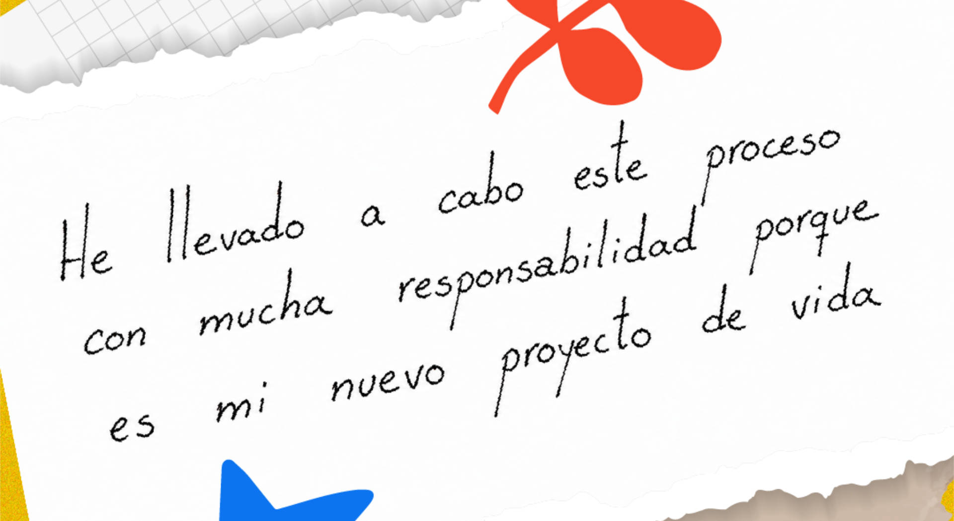Carta de firmante de paz