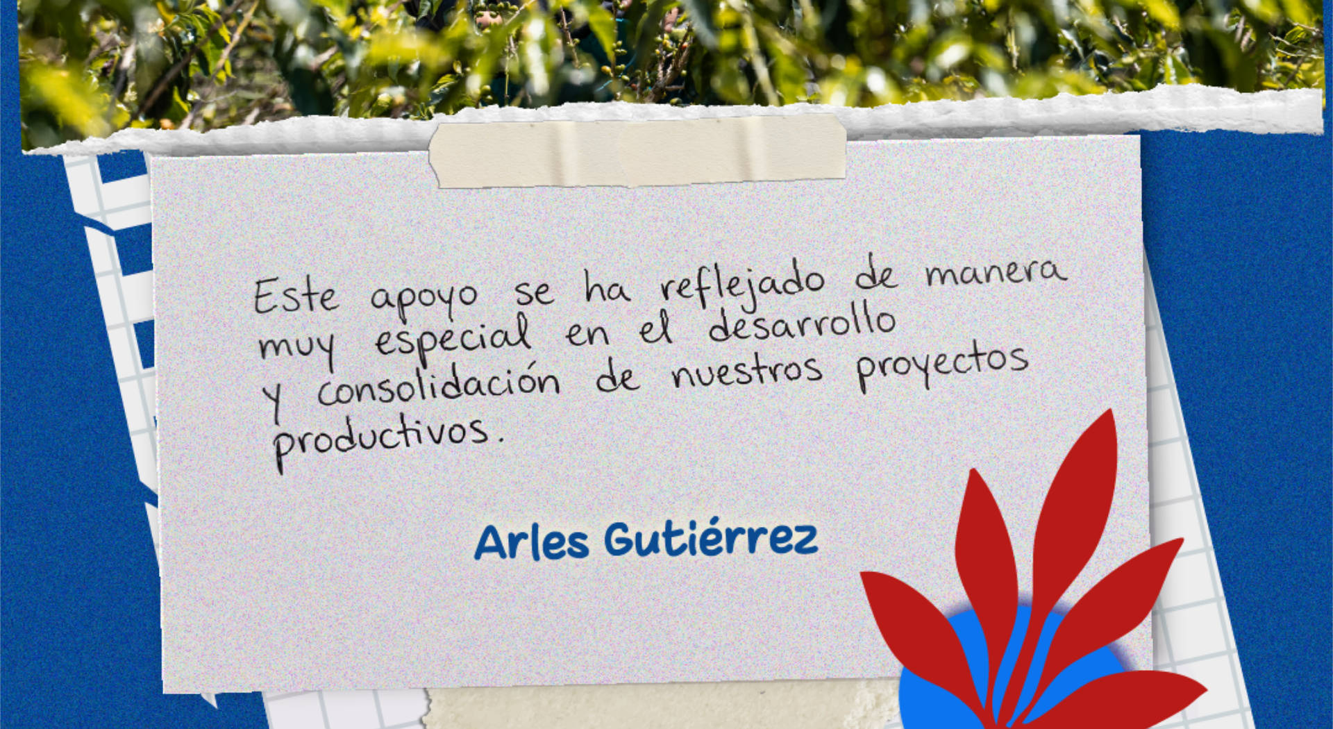 Carta de firmante de paz