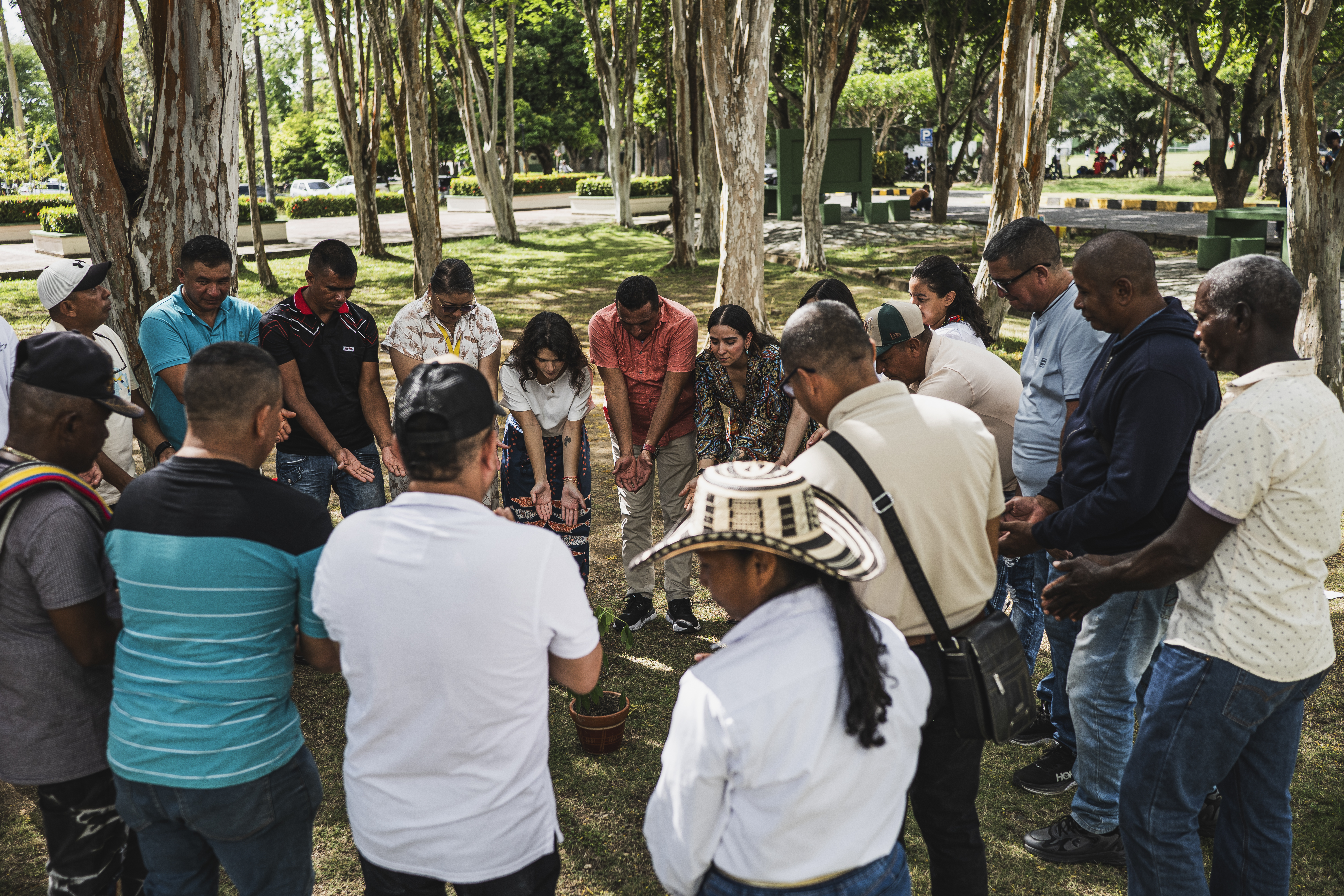 Imagen de galeria de imagenes