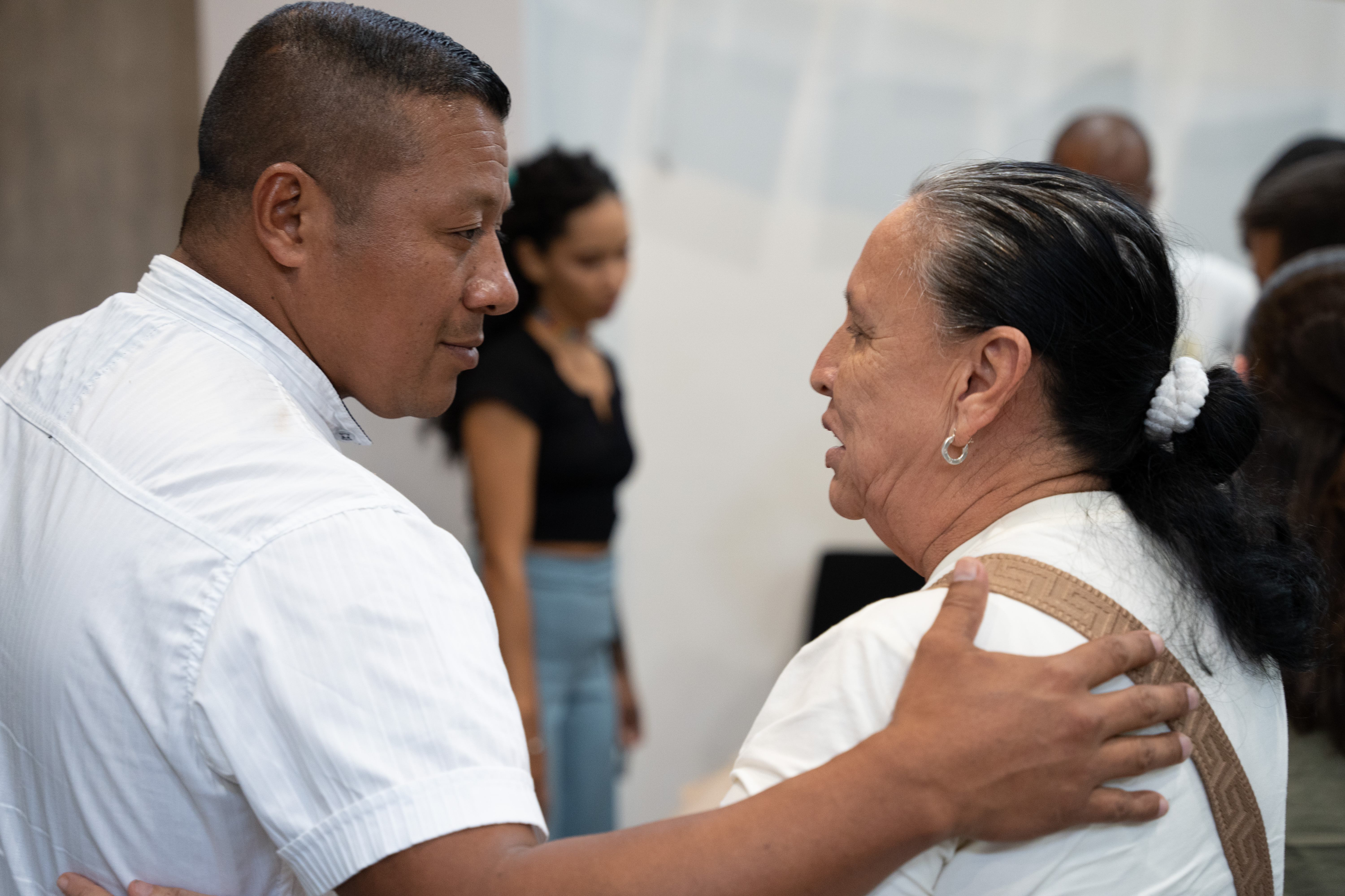 Imagen de galeria