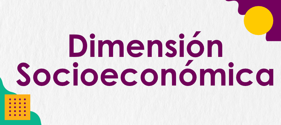 Botón Dimensión Socioeconómica