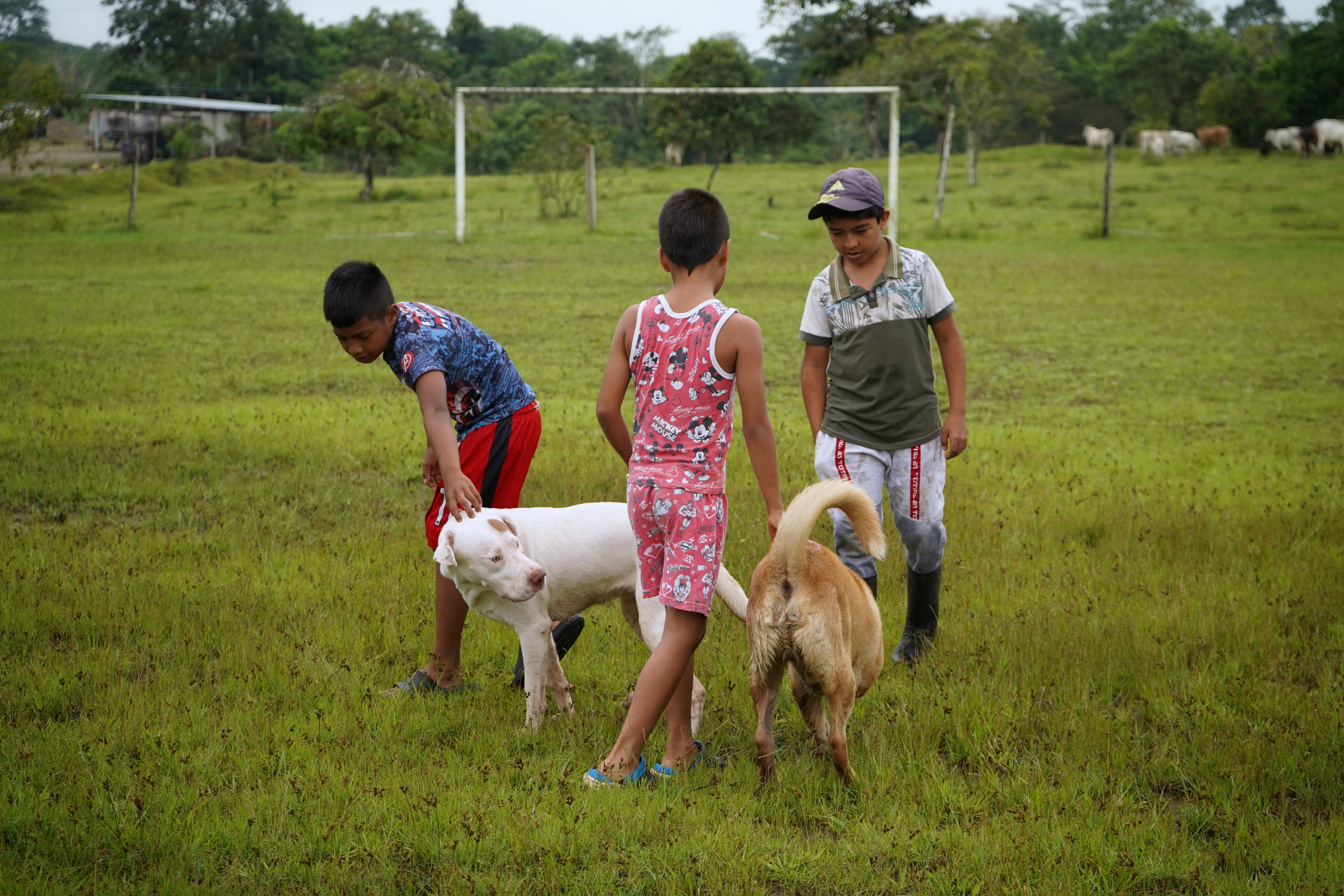 Tejer la igualdad — Pradera, Putumayo
