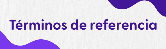 Descargar términos de referencia