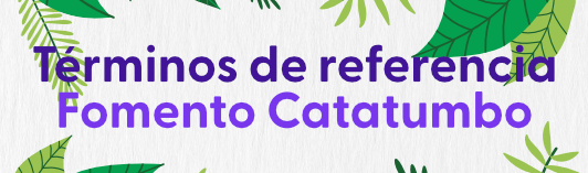 Descargar términos de referencia