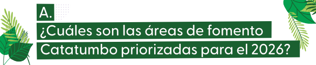 Imagen de pregunta cuales son las areas de fomento priorizadas para el 2026