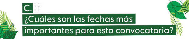 Imagen que indica cuales son las fechas importantes