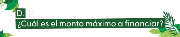 Imagen donde establecen el monto a financiar