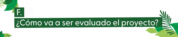 Imagen con pregunta de como se va evaluar el proyecto