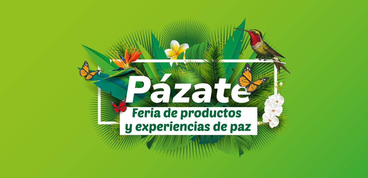 banner pazate