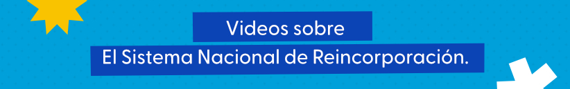 Título de la sección de videos