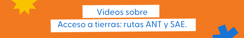 Título de la sección de videos