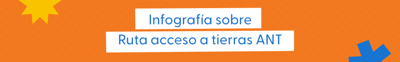 Título de la sección de infografía