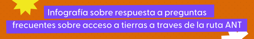 Título de la sección de infografía
