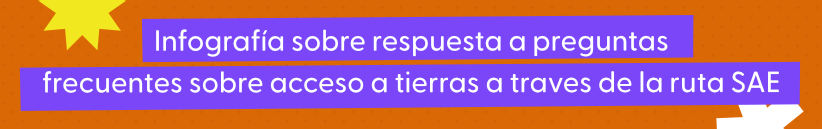 Título de la sección de infografía