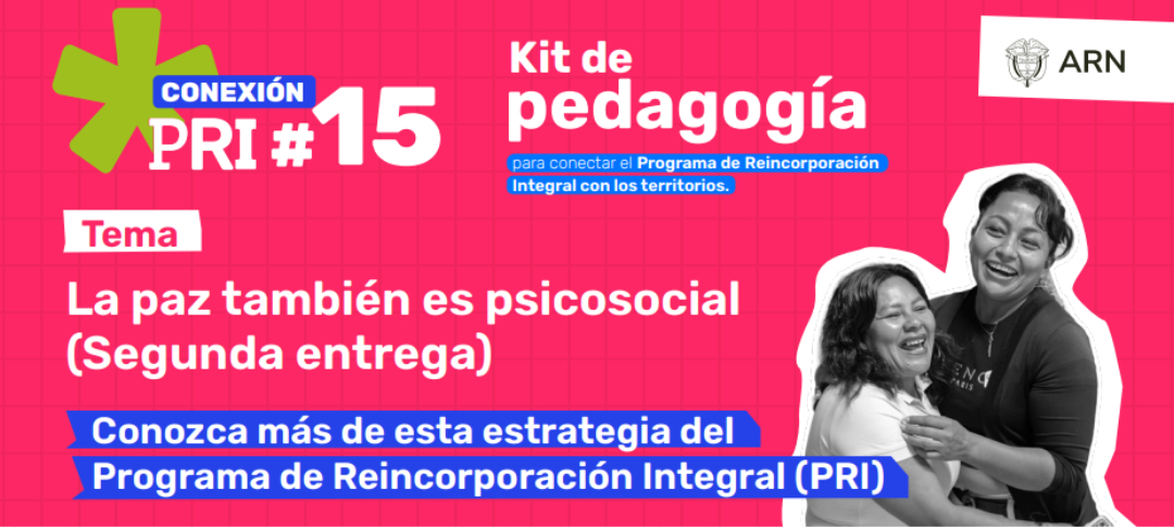 Conexión PRI 15