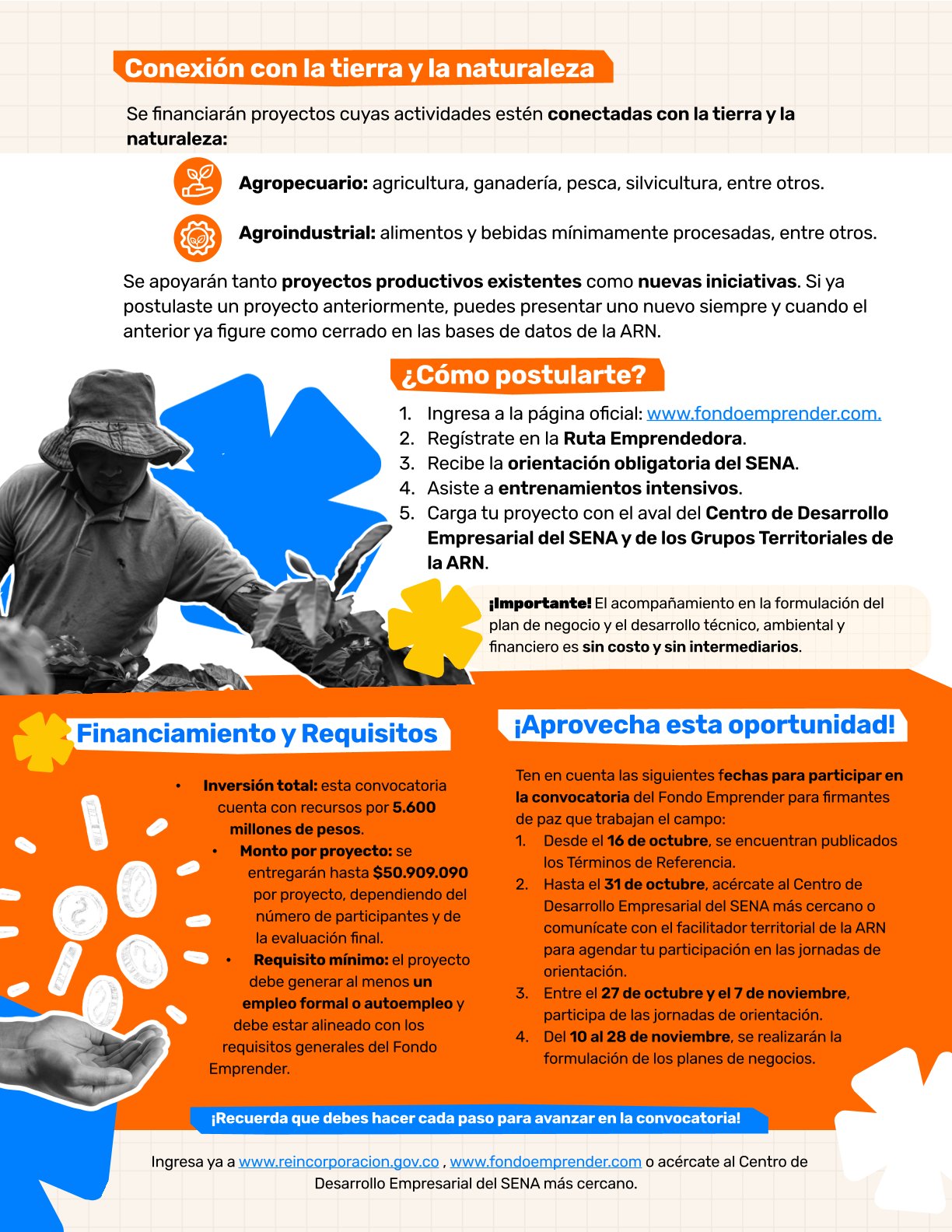 Infografía sobre El Fondo Emprender