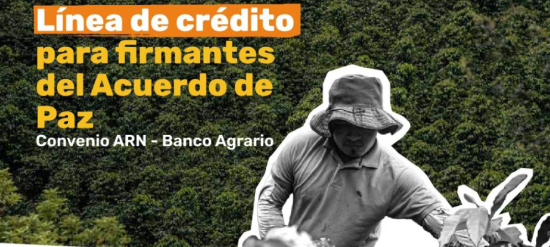 Conexión PRI 23