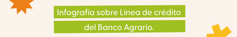 Título de la sección de infografía