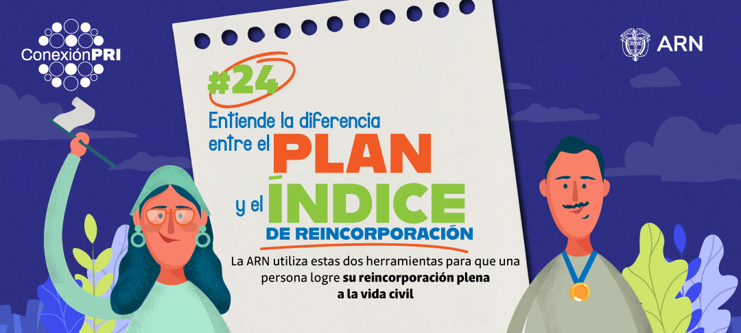 Conexión PRI 24