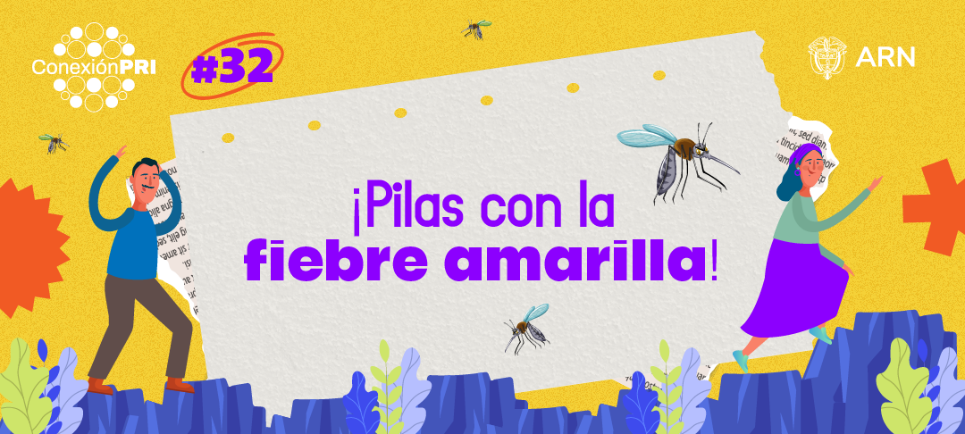 Conexión PRI 32