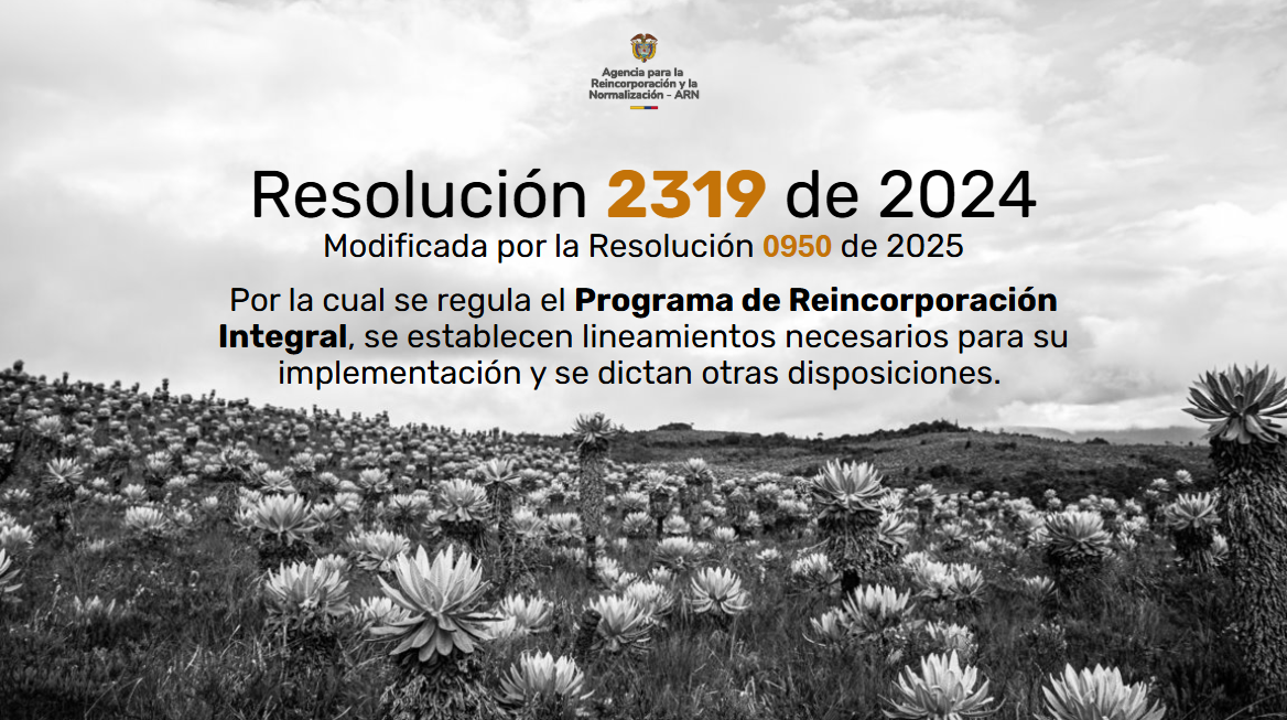 Banner con leyenda de resolución 2319 del Programa de Reincorporación Integral, septiembre 2024