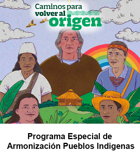 Programa Especial de Armonización Pueblos indígenas