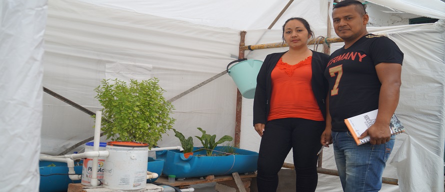 cauca-milagro-plantas-y-peces