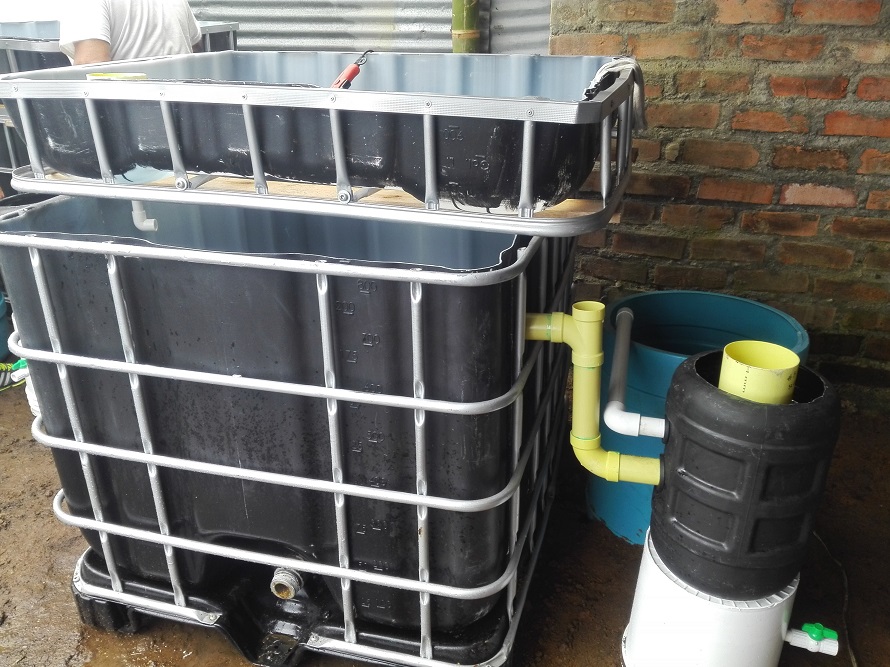 cauca-milagro-plantas-y-peces2.jpg
