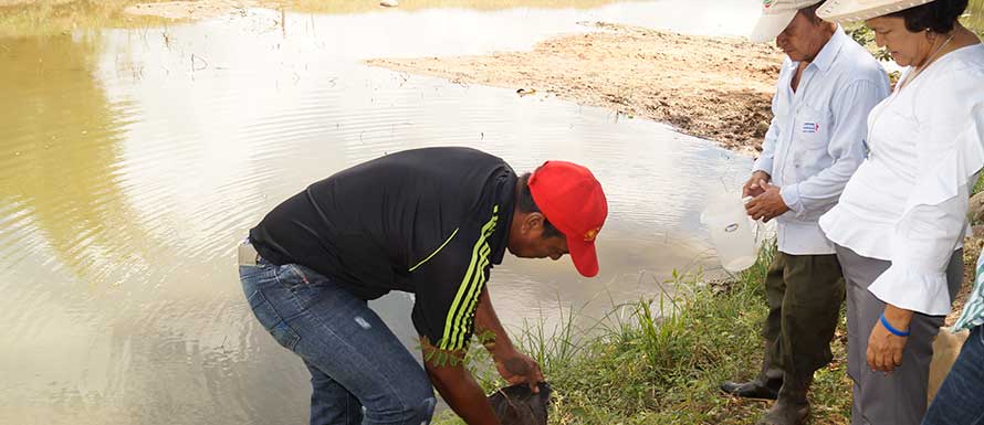 En Neiva, la naturaleza se convirtió en cómplice de la reconciliación