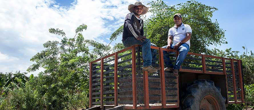 Reintegrados con unidades productivas agropecuarias recibirán asistencia técnica