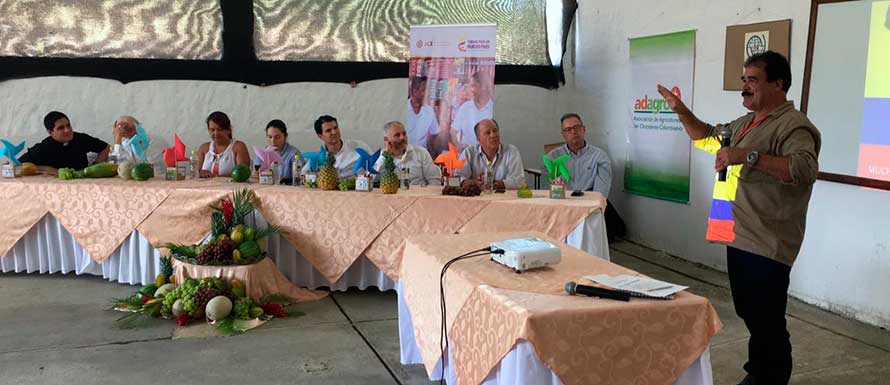Adultos mayores en reintegración se forman en fruticultura en Toro, Valle