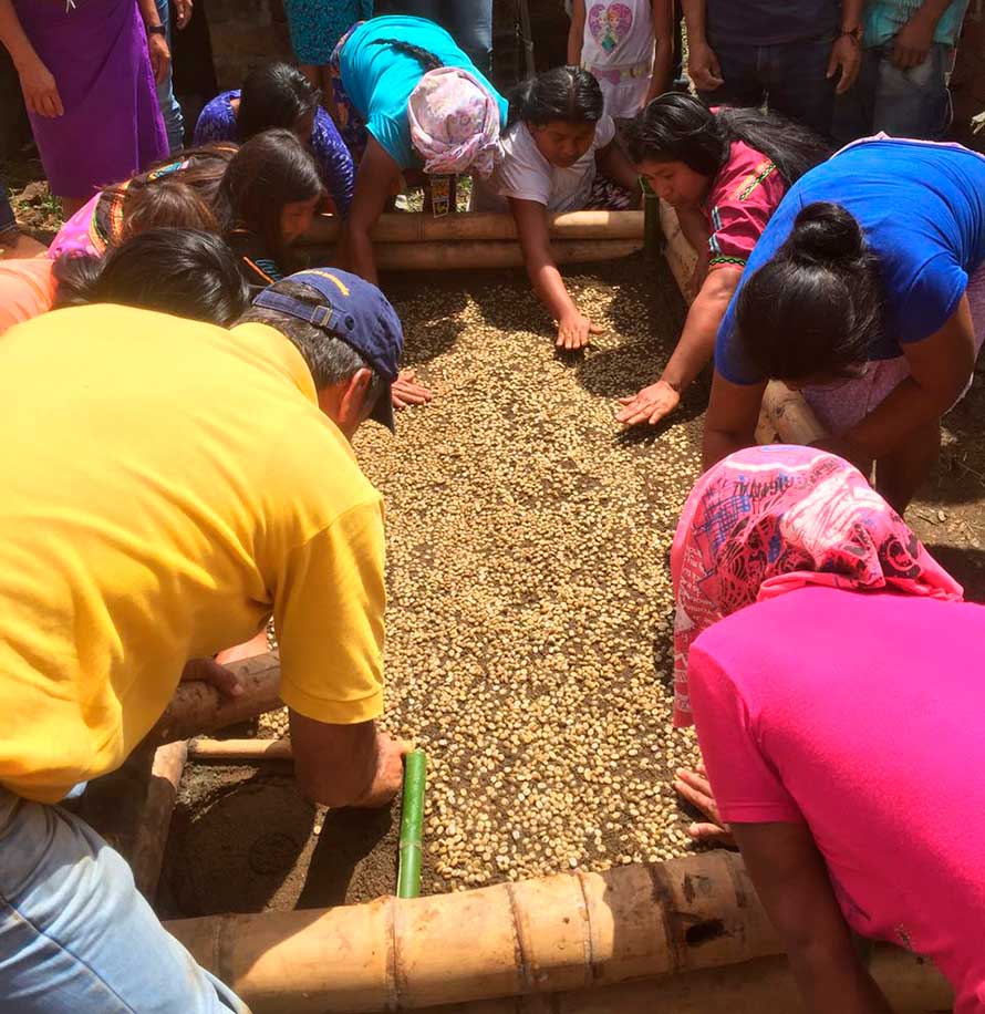 Resguardo indígena de Antioquia siembra café y elabora artesanías para la reconciliación