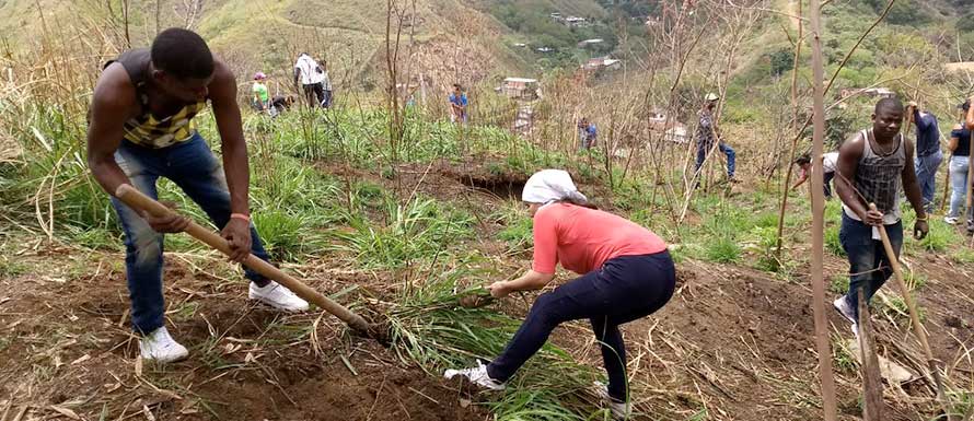 En Cali, servicio social es ‘Herramientas de paz para los paisajes de mi ciudad’