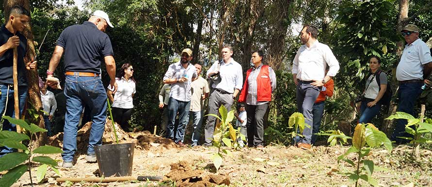 Empresarios santandereanos conocieron entorno de formación productiva de cacao