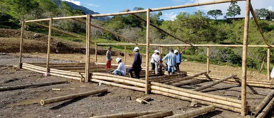Nuevas oportunidades para excombatientes en el Tolima