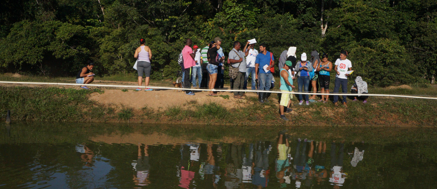 Exintegrantes de las FARC del Meta y Guaviare se capacitan en formación agropecuaria