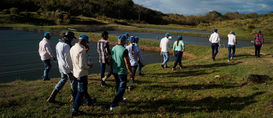 Huila Contruye Paz